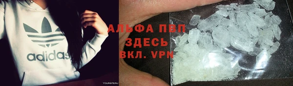 крисы Осташков