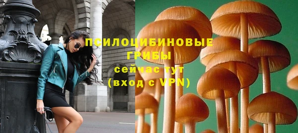 крисы Осташков