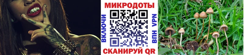 сайты даркнета официальный сайт  Алагир  Псилоцибиновые грибы мицелий 